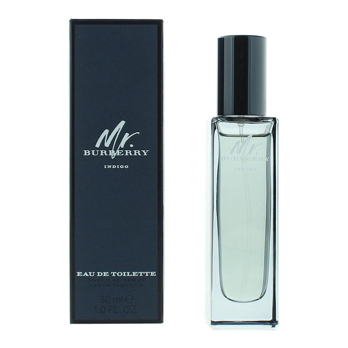 Burberry Mr Burberry Eau De Toilette 30ml Men Spray