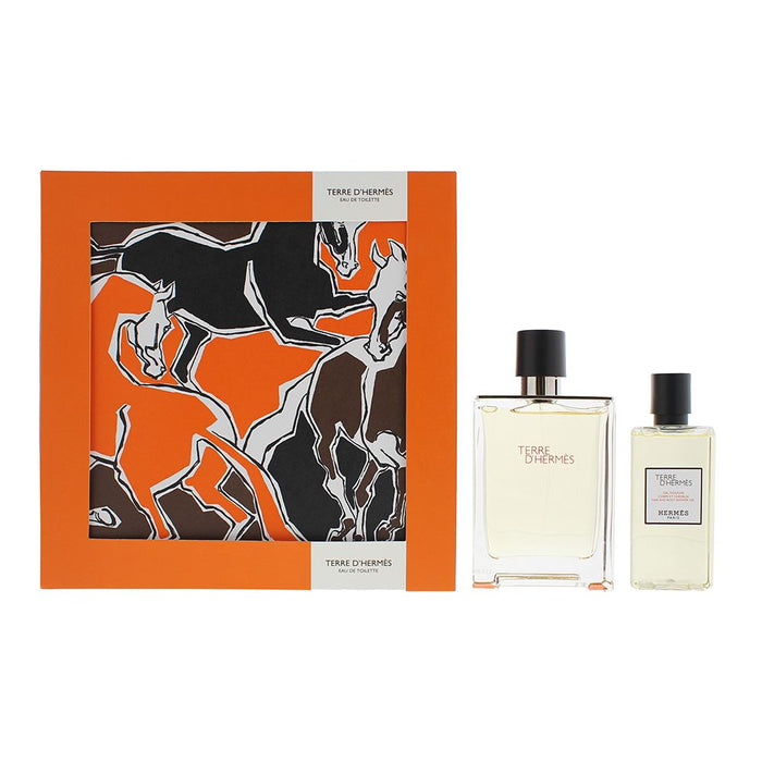 Hermes Terre D'hermes 2 Piece Gift Set: EDT 100ml - Hair Body Shower Gel 80ml
