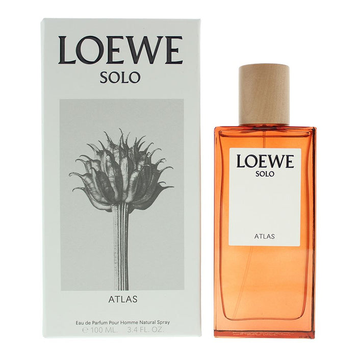 Loewe Solo Atlas Eau de Parfum 100ml Men Spray